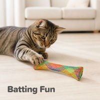 Jouet à mâcher pour chat extensible arc-en-ciel, tube de jeu élastique en maille pour chat