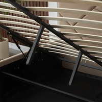 Lit de rangement moderne avec vérin à gaz réglable, tête de lit capitonnée en velours, style minimaliste, personnalisable – Nouveauté