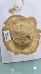 Poudre d'Amla Sauvage Certifiée Fraîcheur en Vrac, Fabrication Personnalisable sous Marque Privée, Extrait Herbal Naturel, Emballage Sous Vide - Product Image 2