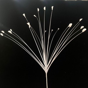 Fiori nuziali fuochi d'artificio-Look finto arredamento per la casa di nozze e acquista erba di pampa artificiale con canna soffice piuma e rosa Muhly - Product Image 4