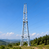 Tour de transmission aérienne en acier galvanisé à chaud pour projets de lignes 110 kV et 220 kV, tour en acier profilé, tour en acier tubulaire