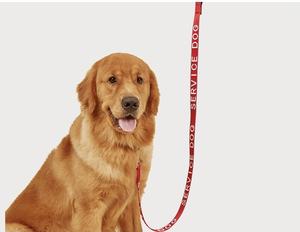 Guinzaglio in Nylon per cani di supporto emotivo per cani con stampa personalizzata rossa all'ingrosso - Product Image 5