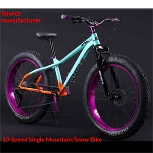 Bicicleta de Montaña para Adultos con Neumáticos Anchos, 10 Velocidades, Frenos de Disco Dobles y Amortiguación, Ideal para Playa y Nieve, Directo de Fábrica - Product Image 2