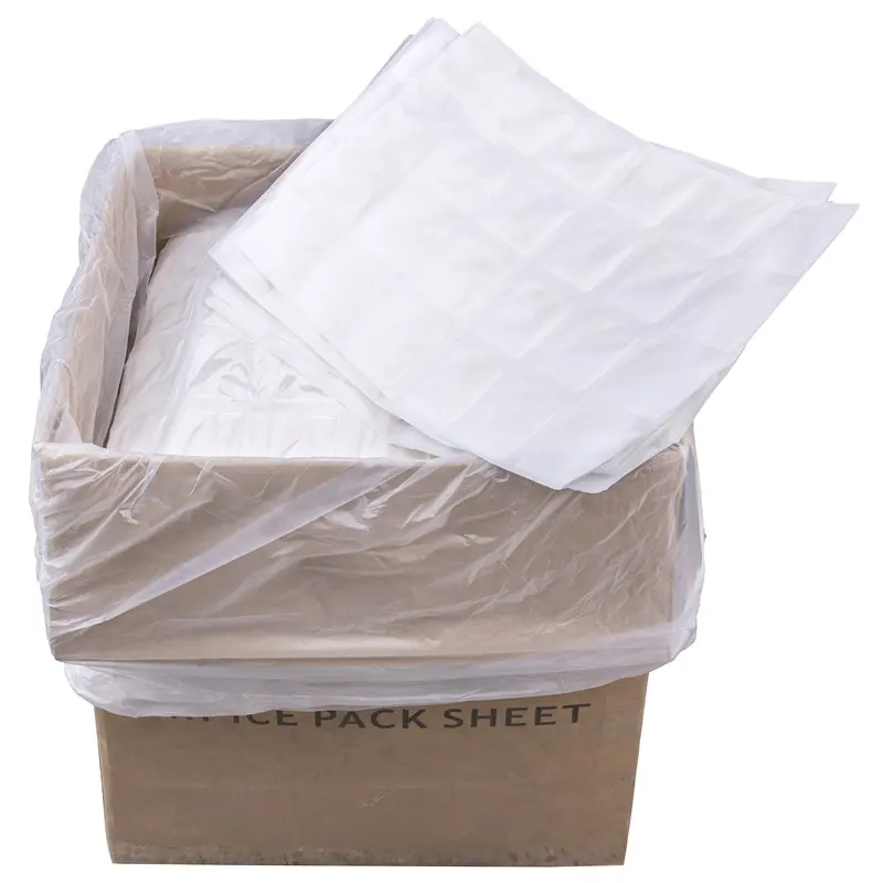 Yeniden kullanılabilir, esnek ve toksik olmayan-yemek kabı veya serin torbalar için buz paketi olarak Ideal kuru buz paketi levhalar sıcak ve soğuk paketleri özel CN;SHG