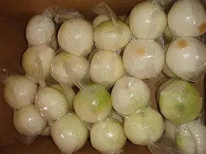 2023 de la marca Sinofarm fresca 10kg cebolla entera pelada precio cebollas rojas y amarillas peladas cebollas frescas chinas verduras frescas