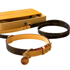 <span class=keywords><strong>Collar</strong></span> de lujo y alta gama para mascotas, <span class=keywords><strong>collar</strong></span> de cuero para mascotas, <span class=keywords><strong>collar</strong></span> premium personalizable para mascotas - Product Image 1