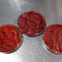 Mango Pulp Productie/Mango Verwerkingsbedrijf/Fruit Proces Machine