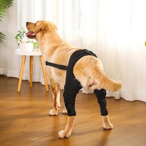 Attelle de jambe pour chien, protection, attelle, blessure de la ligament croisé transversal, restauration, attelle de genou réglable pour chien, support pour la patte arrière, coussin de soutien pour la jambe du chien - Product Image 4