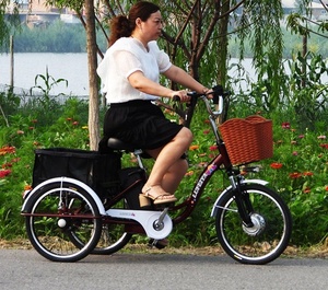 Triciclo Eléctrico para Adultos Mayores 2025 de 3 Ruedas con Carga Pesada 350W, Motocicleta de Carga Urbana Económica - Product Image 5