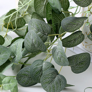 Décoration de plante verte d'intérieur, vigne d'eucalyptus artificielle, suspension murale avec feuilles d'argent porte-bonheur, style rustique - Product Image 3