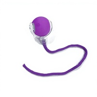 Vente en gros de jouets pour animaux de compagnie écologiques et tendance, 7 couleurs, rechargeables par USB, interactifs, en plastique et silicone, pour chats et chiens, durables et résistants à la mastication