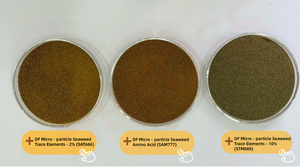 <span class=keywords><strong>Engrais</strong></span> micronutritif à <span class=keywords><strong>base</strong></span> <span class=keywords><strong>d</strong></span>'<span class=keywords><strong>algues</strong></span> HIWOSS STM888 Acide alginique pour des racines plus fortes Poudre à libération rapide pour le sol <span class=keywords><strong>Engrais</strong></span> organique - Product Image 4