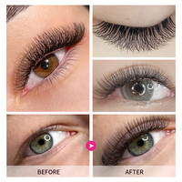 STARSCOLORS Extensions de cils préfabriquées en éventail croisé double couche 3D 4D 5D en forme de W, plateaux d'extensions de cils trèfle
