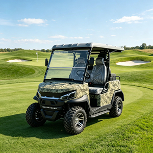 Carrito de Golf de 4 Plazas con Color de Carrocería Personalizable, Caja Trasera Adicional, Almacenamiento Extra, Batería de Litio de 72V, Homologación DOT, Buggy de Golf para América - Product Image 6