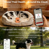 Traceur GPS PAT pour chiens et chats avec moniteur de fréquence cardiaque, étanche IP67, en plastique, surveillance 24h/24 et 7j/7, et Bluetooth