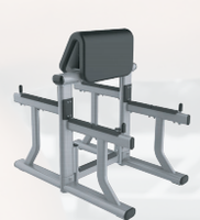 BodyStrong Équipement de fitness en métal multifonctionnel Banc de musculation de sécurité commerciale réglable