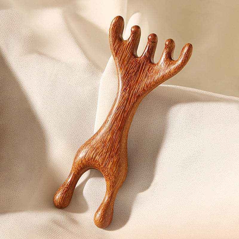 เขากวางห้าเล็บ