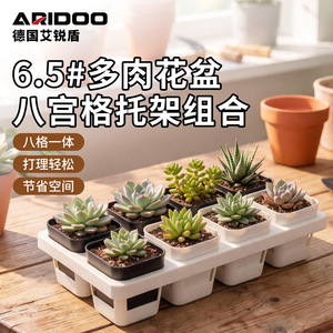 Pots à fleurs carrés peu profonds Airi Shield PP avec plateau, lot de 8, support de drainage pour la collecte de l'eau, pour plantes succulentes, maison, balcon - Product Image 5