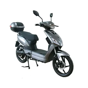 Ebike New Design Eec Coc 48v 1000w Rear Motor Electric City Scooter Moped With Pedal Assisted For Adults