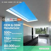 Lampe BBIER à lumière artificielle intérieure à CRI élevé, panneau LED encastré effet ciel bleu, faux puits de lumière de plafond virtuel
