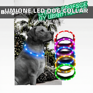 <span class=keywords><strong>Collar</strong></span> de Silicona LED Personalizado de Lujo para Perro, Ecológico, Recargable, Resistente al Agua, con Cierre de Hebilla, Moderno, para Paseos Nocturnos - Product Image 2