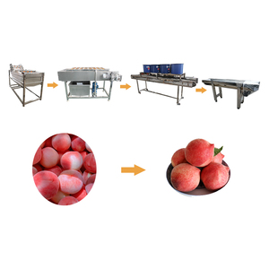 Citroensinaasappel Perzik Mango Fruit Verwerkingslijn Sorteren Wasdroogmachine Dunschiller Functie Voor Fabriek - Product Image 4