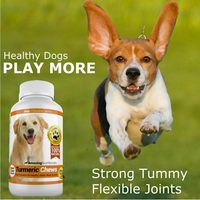 Curcuma incroyable pour chiens, curcumine, antioxydant pour animaux de compagnie, élimine les douleurs articulaires et l'inflammation, 120 comprimés à mâcher, sans gluten, sans arachides, sans soja