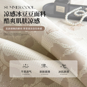 Summer Jacquard Pe Ice Silk Cooling Mat 0.9M Single Size Machine Washable For Student Dormitory - Product Image 2