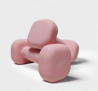 Support de fitness de gymnastique portable pour femmes d'approvisionnement d'usine avec tête carrée en fonte de couleur petit ensemble d'haltères en vinyle néoprène