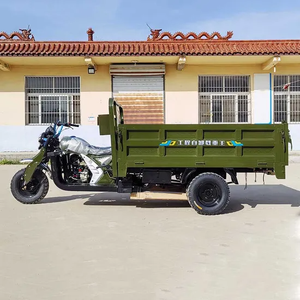 Three Wheeler Engine Motorcycle Tricycle Gasoline Trike Motorized Tricycles <strong>250cc</strong> 300cc - Product Image 4