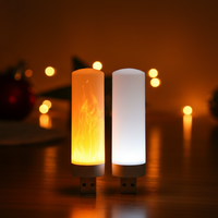 Lampe LED portable USB 5V pour la maison, veilleuse en PP, mini bougie LED moderne à flamme simulée, flamme artificielle LED