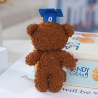 Mini afstudeerpet beer pluche sleutelhanger bulk 3D kleine afstudeer knuffelbeer met diploma DIY cadeau klas van 2026