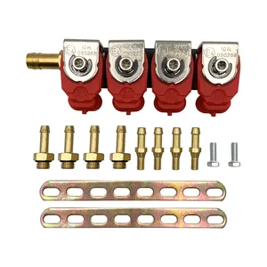 Auto Natural Gas Car Kit 4 Cylinder Cng Lpg Injector Gnv Rail