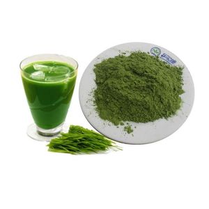 Polvere di Erba d'<span class=keywords><strong>Orzo</strong></span> Selvatica Liofilizzata di Grado Alimentare, Confezionamento in Fusti, Estratto Naturale Biologico Idrosolubile con Alto Contenuto Proteico - Product Image 3