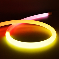 Bande de néon à diode flexible en silicone personnalisée en gros 2300k-6000k LED Pixel Tube Neon D22 mm RGBW LED Neon Lights