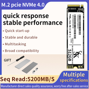 SK 1000 M.2 2280 PCIe 4.0 NVMe Interne SSD Solid State Drive 512GB 1TB 2TB voor Laptop Desktop PC Computer Nieuw - Product Image 2