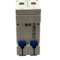 Le disjoncteur miniature de série de NXB-125 de Chint NXB-125 1P C125 a évalué la capacité de rupture MCB du courant 10KA