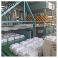 Ligne de production de boîtes alimentaires en mousse PS en gros avec pompe et moteur, traitement automatique multifonctionnel