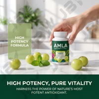 Amla Fruit Extract Capsules 1000mg Dagelijkse Wellness Kruidensupplement Aangepaste Label OEM ODM Groothandel Fabrieksdienst