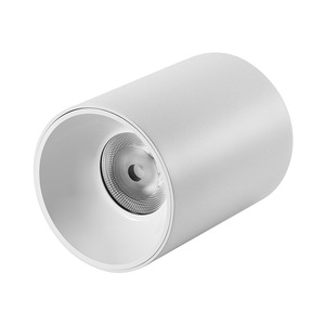 โคมไฟดาวน์ไลท์สำหรับพื้นผิวกระบอกสูบจี้ CRI97 CRI90 15W 20W 30W 40W 50W 60W 90W - Product Image 2