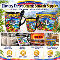 Ensemble de tasses à café en céramique souvenir du Venezuela, imprimé paysage tropical, en porcelaine, coffret cadeau pour boutique de souvenirs et détaillants