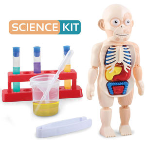 En gros Personnalisé Enfants Scientifique Biologie Physique Éducation Simulé Anatomie Infirmière Figure Médecin Humain Jouets pour Enfants - Product Image 2