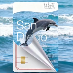 Mini Etiqueta Desechable de PVC <span class=keywords><strong>2026</strong></span>, 13.56MHz, Tarjeta de Negocios para Hotel, Interfaz de Comunicación NFC 1k, Control de Acceso a Puertas, Clásica, Impermeable - Product Image 4