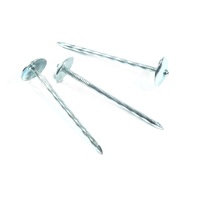 Clous de toit de parapluie, clous de toit pour le Kenya, achat en gros
