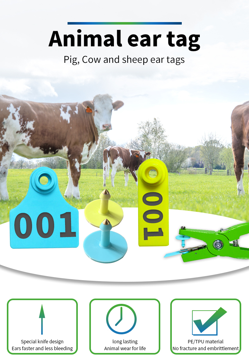 animal pig sheep cattle cow ear earing tags