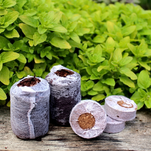 Pellets de Turba de Coco Eco2go Vietnam para una Fácil Propagación de Plantas, Germinación Consistente de Semillas y Crecimiento Saludable de Plántulas - Product Image 1