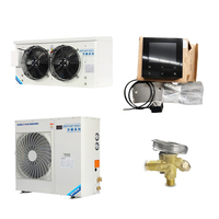 Unité de condensation à refroidissement air/eau certifiée CE avec dégivrage rapide à gaz chaud et compresseur scroll pour la réfrigération - Vente en gros