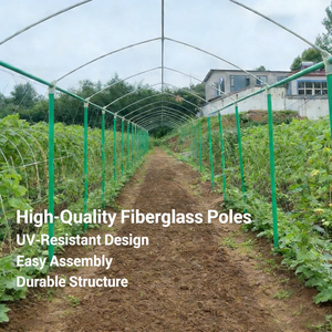 Postes de Soporte para Invernadero de Fibra de Vidrio, Estacas de FRP de Alta Resistencia para Cultivo Agrícola de Vegetales y Flores, Tamaño Personalizado - Product Image 2
