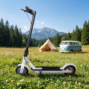 Trottinette pliable en aluminium pour adultes, vitesse 35 km/h, moteur brushless 350 W, batterie lithium 10 Ah, pour trajets urbains, shopping et voyages, T10 Fold T10 - Product Image 1