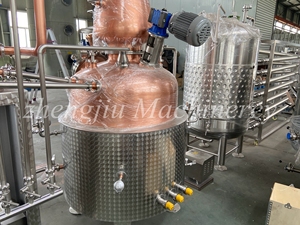 Línea de producción de destilación de <span class=keywords><strong>Vodka</strong></span> ZJ 500L, destilador de whisky, equipo de destilación de <span class=keywords><strong>Alcohol</strong></span> de alto grado, máquina de <span class=keywords><strong>Vodka</strong></span> para destilería - Product Image 6